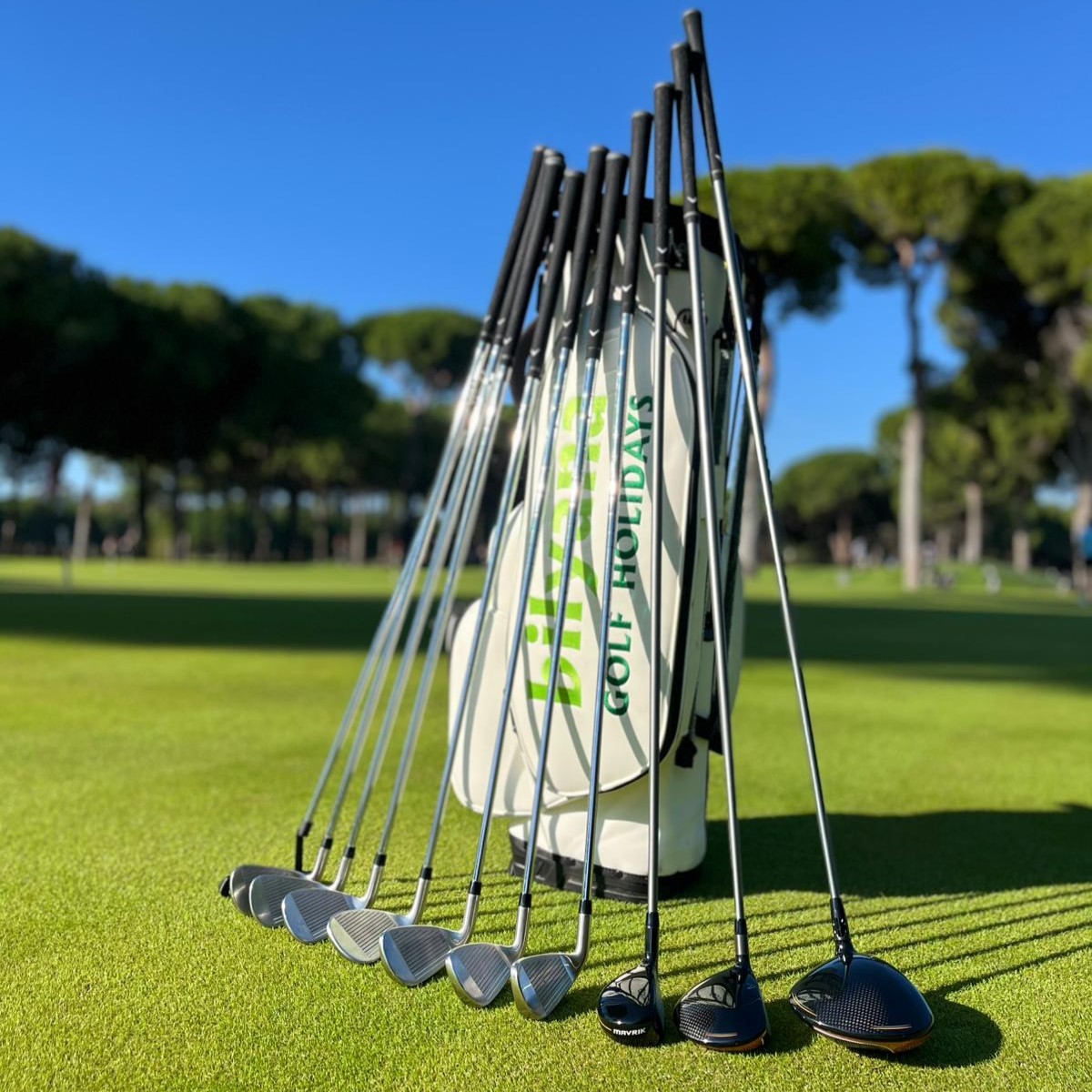 https://paymeny.bilyanagolf.com/files/imaj/clubhire1.jpg